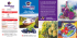 Leaflet botrite Prolectus 50 WG