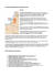 Territorio Palestinese Occupato