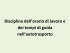 Disciplina dell`orario di lavoro e dei tempi di guida nell