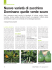 Nuove varietà di zucchino Dominano quelle verde