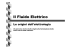 Il Fluido Elettrico