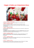 Sito capodanno cinese 2013 - Smi