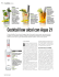 Cocktail low alcol con Aqua 21