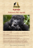 Uganda - WordPress.com