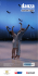 Programma DANZA 2015-16.indd