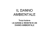il danno ambientale