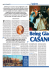 visualizza il pdf dell`articolo