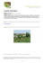 Scheda in PDF