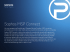 Panoramica partner MSP