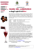Invito cantine - Sagra del lambrusco