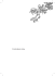 Curriculum vitae