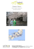 stampa itinerario completo