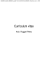 Curriculum vitae - Comune di Alzano Lombardo