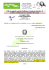 Consiglio di Stato