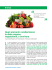 scarica l`articolo - Nutrition Foundation of Italy
