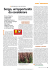 Leggete l`articolo integrale in formato PDF