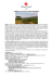 Bolgheri, Val di Cornia, Colline Metallifere