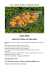 File "corso stella" di 822,58 kB