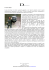 Vers. pdf - Dueparole.eu vers. 3.0