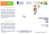 Collocazione - Home Page - Associazione Croce del Sud