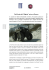 rivista automobilistica