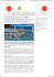 Waterpolo24 - vela nuoto ancona