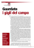 G ua rdate i gigli del campo
