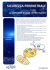 Presentazione standard di PowerPoint