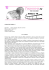 Episodio 2 Transitory sacrifices of crisis