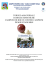 TORNEO AMATORIALE BOCCE E MTB2012 2