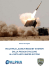 MULTIPLE LAUNCH ROCKET SYSTEM. Dalla pioggia d`acciaio all
