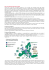 PFU: cosa fanno gli altri paesi europei? Come