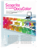 Scoprite la nuova DocuColor