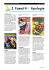I fumetti: tipologie