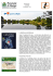 Newsletter - Polesine terra tra due fiumi