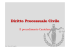 Diritto Processuale Civile - Cautelare
