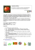 Programma convegno I Giardini dell`Eden DEF _2