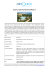 newsletter 30 gennaio - fuerteventura