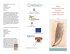 Brochure informativa sulla pasta arricchita con beta