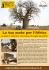 La tua moto per l`Africa