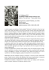 4 - 26 febbraio 2012 “IN BIANCO E NERO” disegni di Arturo Lozzi