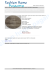 Tappeto tondo classico moderno diametro 160x160 non infiammabile