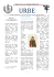 Classe 2^A C.A.T. Progetto cl@sse 2.0
