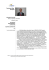 Curriculum Vitae Europass