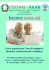 Internet senza età - IIS CESTARI