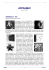 scarica quest`articolo in formato pdf