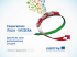 Presentazione di PowerPoint - Interreg Italia
