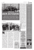 File allegato (application/pdf - 413 Kb)