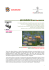 monet_programma laboratori