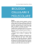 biologia cellulare e molecolare